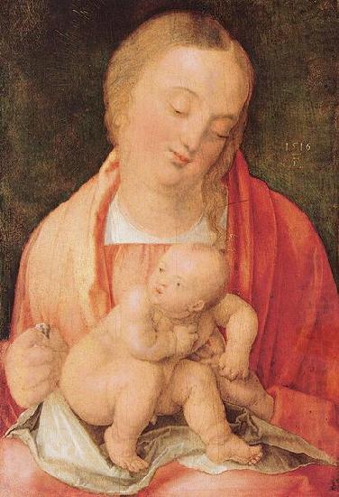 Albrecht Durer Maria mit dem hockenden Kind china oil painting image